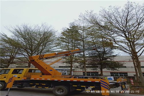 廉江市吊篮车出租包天 中桥建